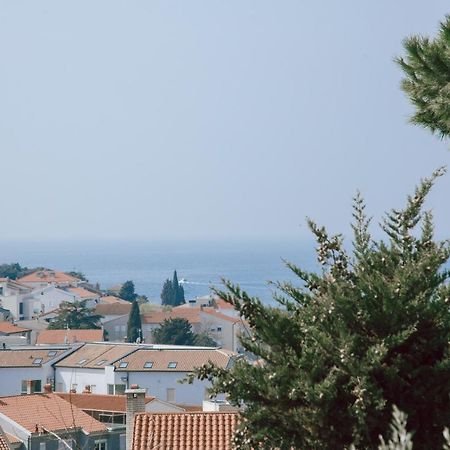 Apartments Potocki Μεντουλίν Εξωτερικό φωτογραφία