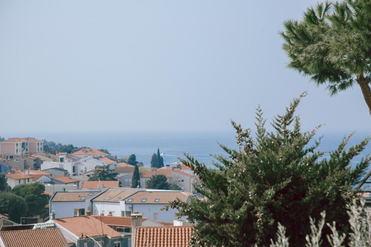 Apartments Potocki Μεντουλίν Εξωτερικό φωτογραφία