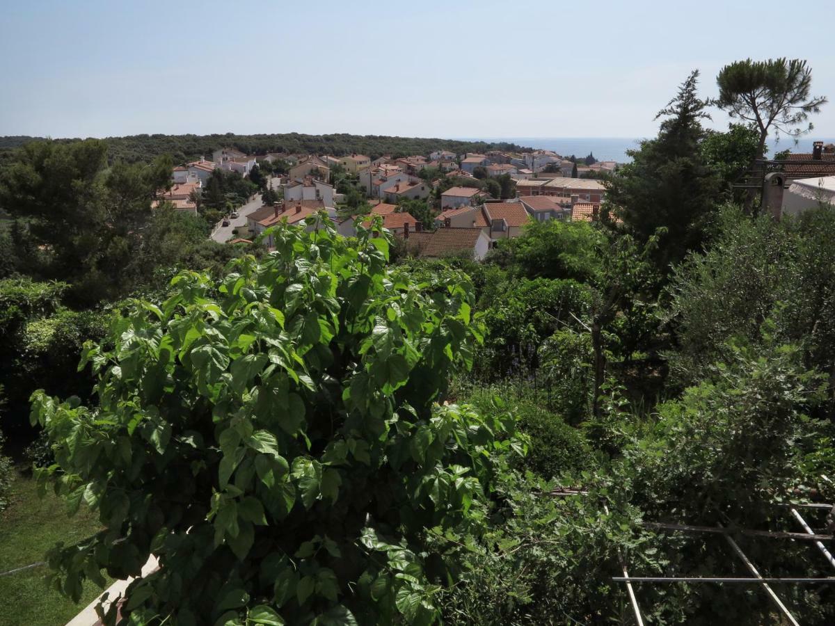 Apartments Potocki Μεντουλίν Εξωτερικό φωτογραφία